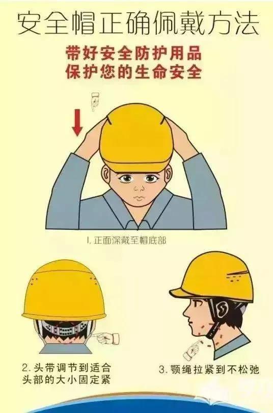 白姐全年正版王中王