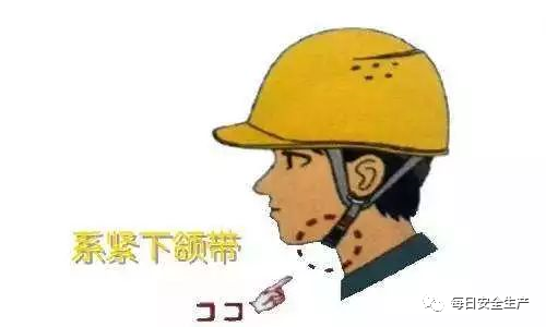 白姐全年正版王中王