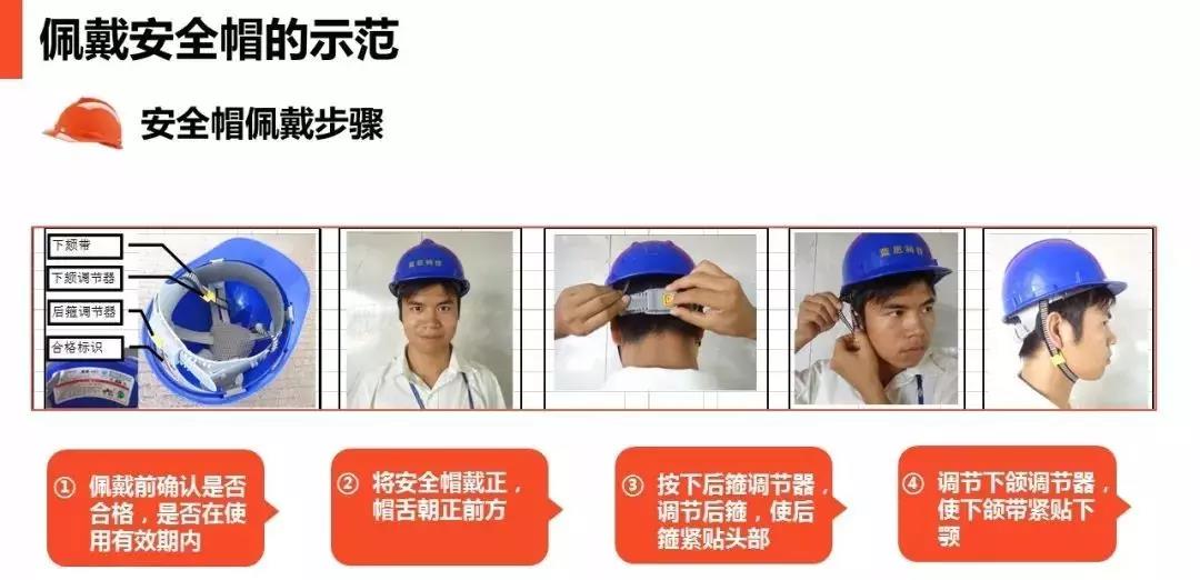 白姐全年正版王中王