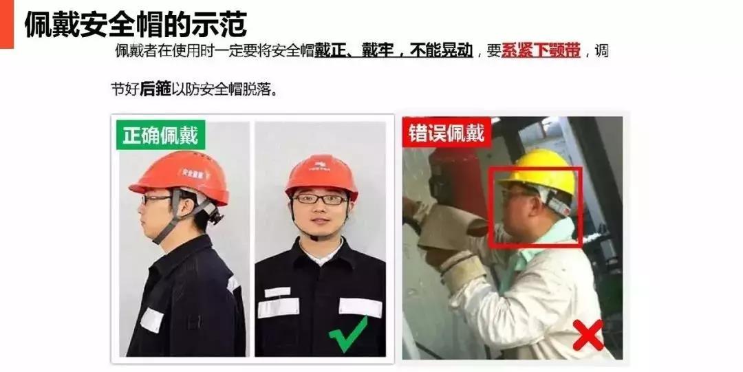 白姐全年正版王中王