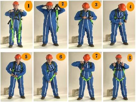 白姐全年正版王中王