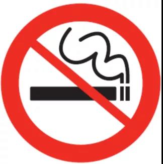 白姐全年正版王中王