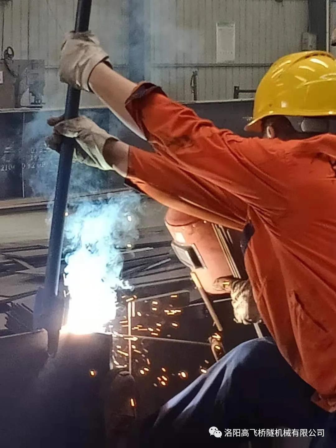 白姐全年正版王中王