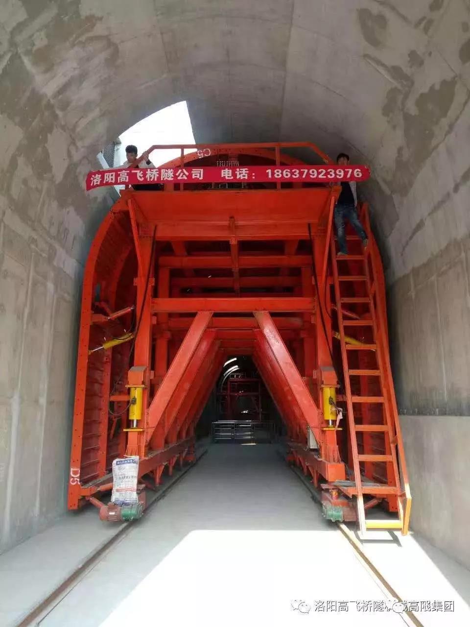 白姐全年正版王中王