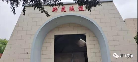 白姐全年正版王中王