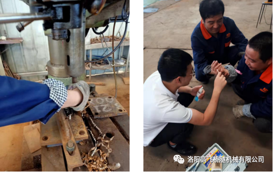 白姐全年正版王中王