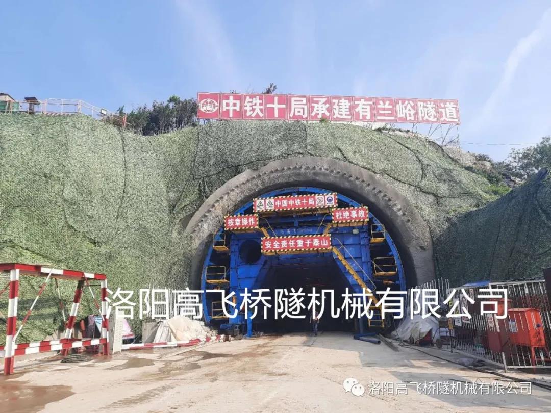 白姐全年正版王中王