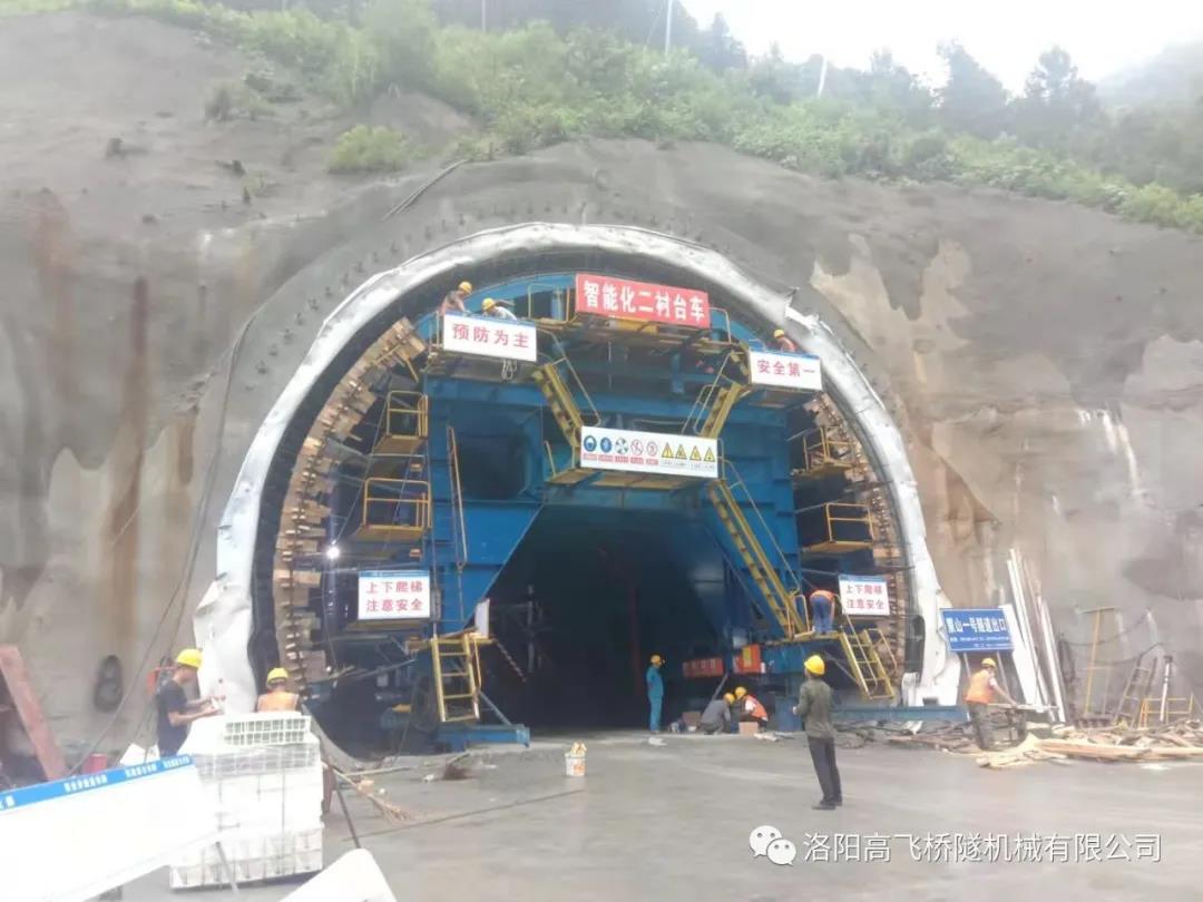 白姐全年正版王中王