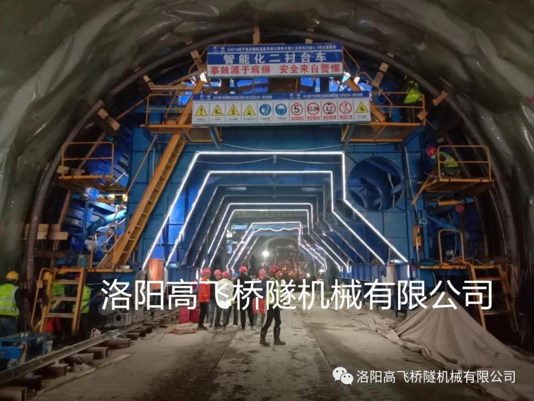 白姐全年正版王中王