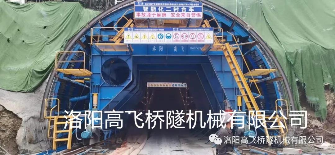 白姐全年正版王中王