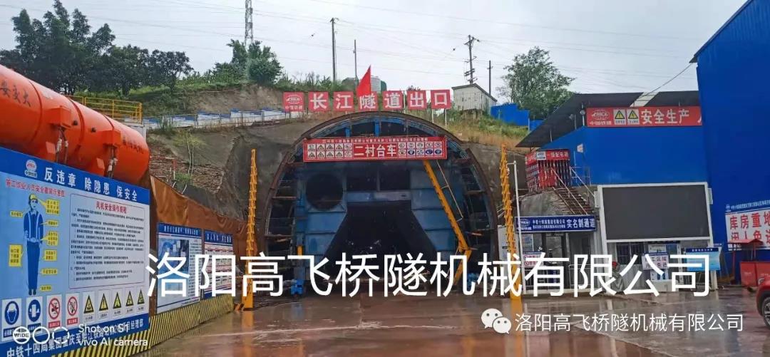 白姐全年正版王中王