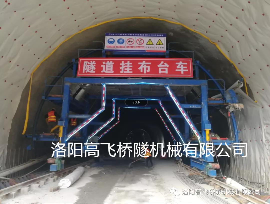 白姐全年正版王中王