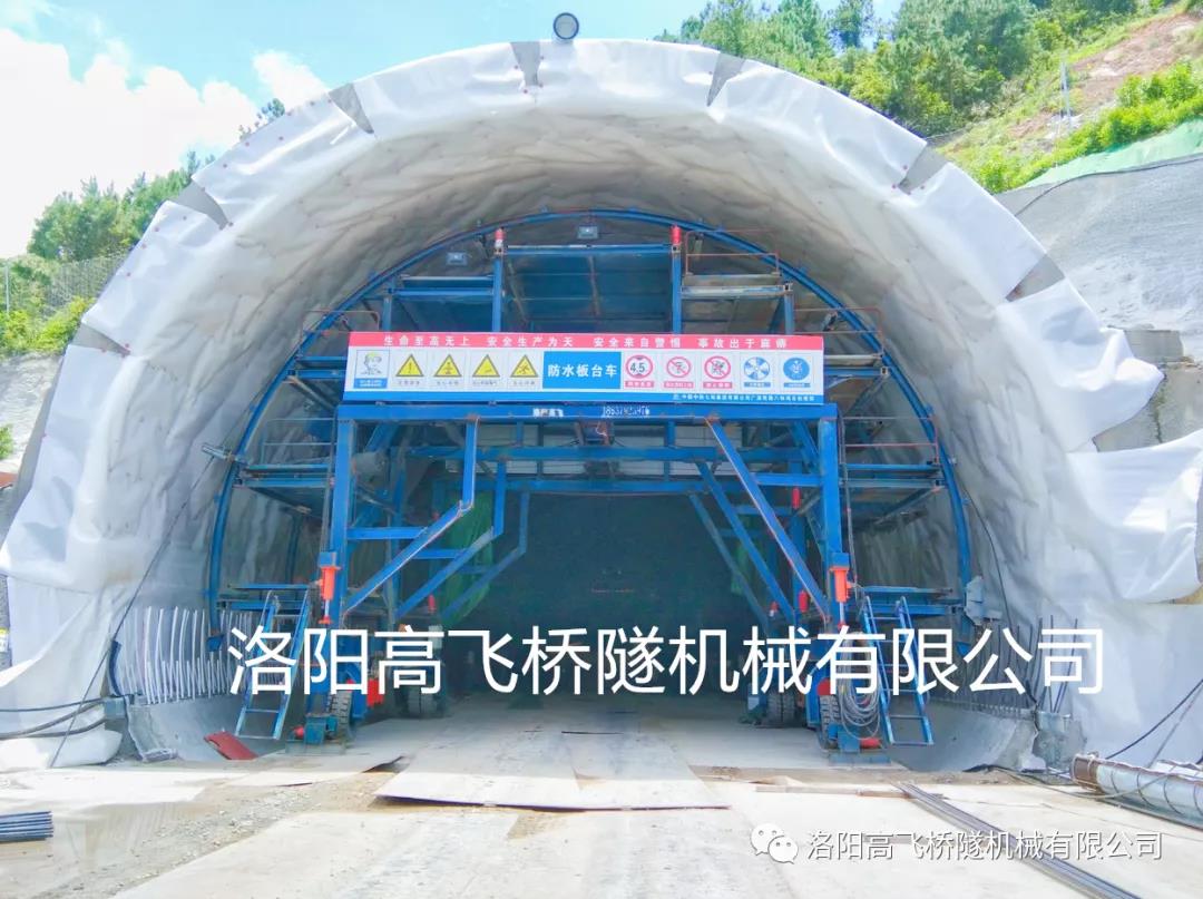 白姐全年正版王中王