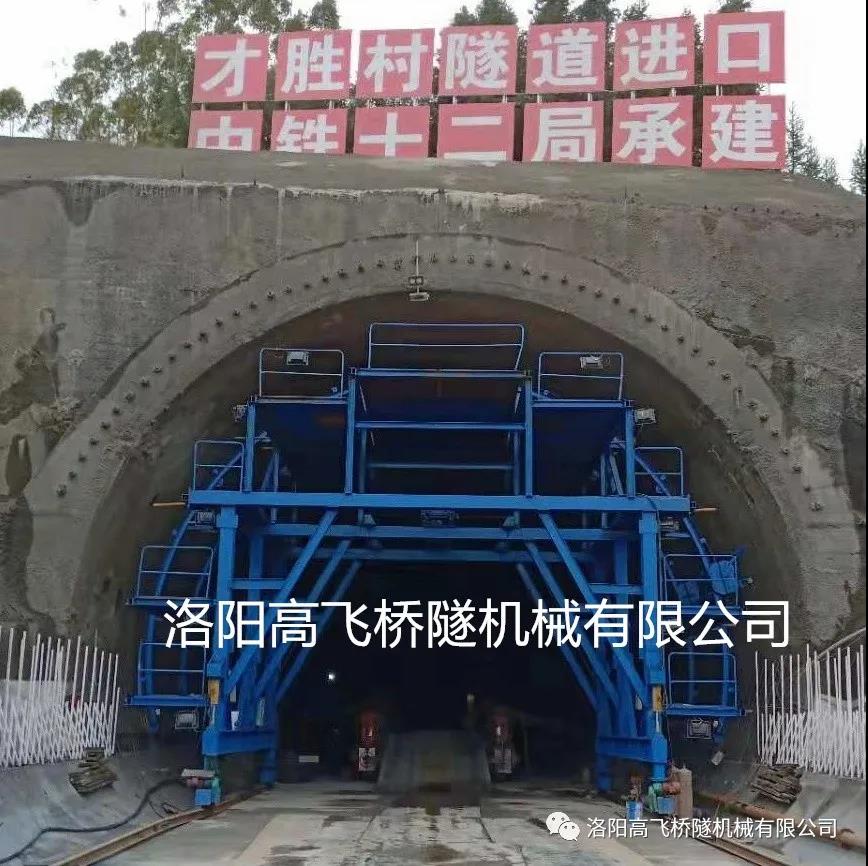 白姐全年正版王中王