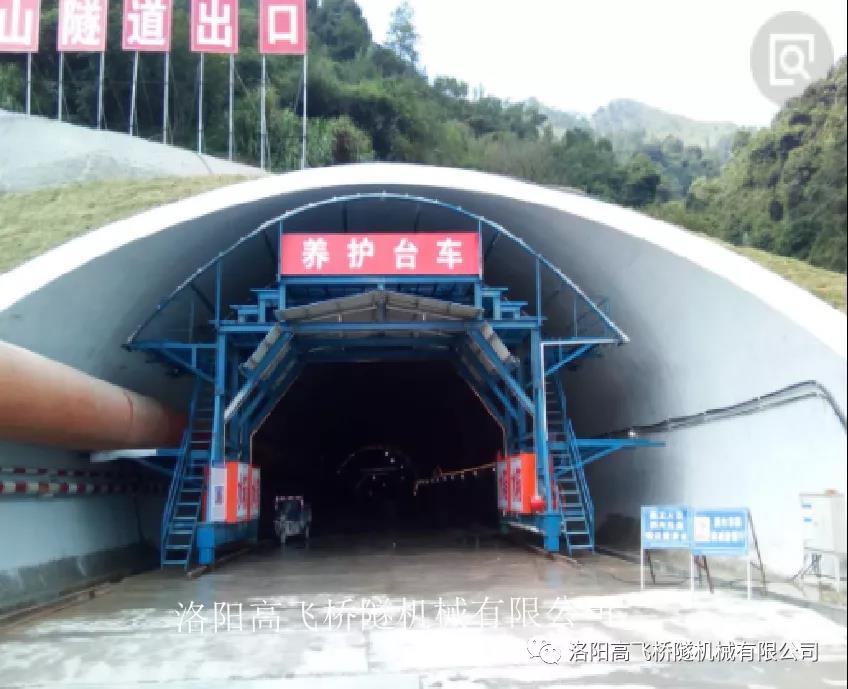 白姐全年正版王中王