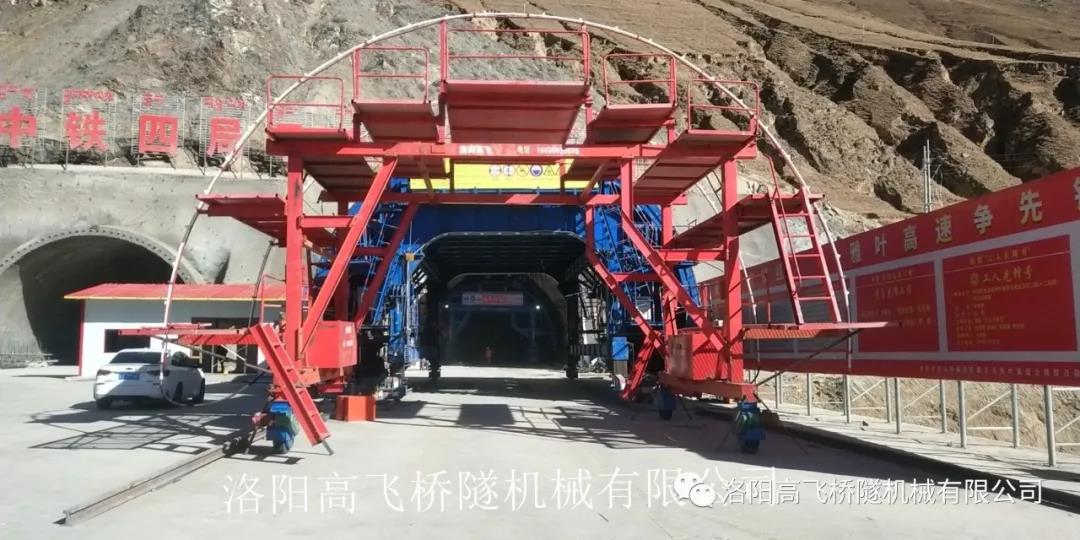 白姐全年正版王中王