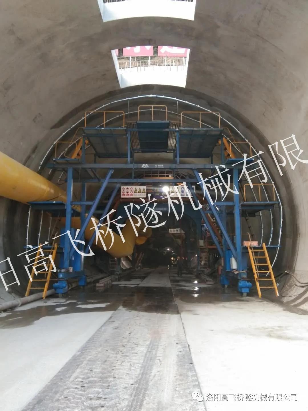 白姐全年正版王中王