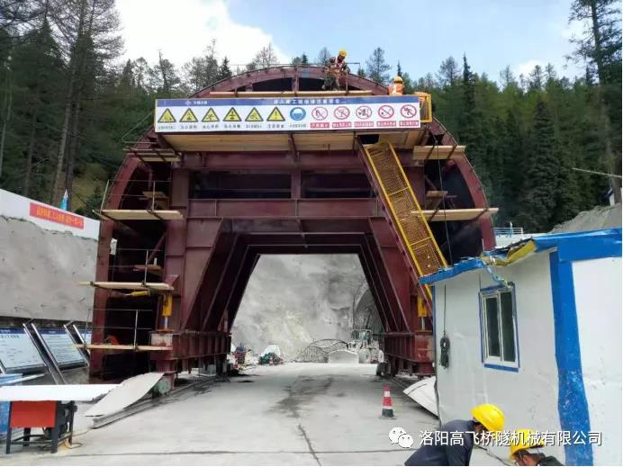 白姐全年正版王中王