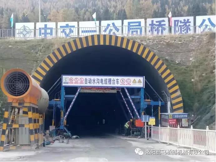 白姐全年正版王中王