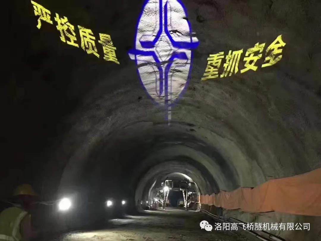 白姐全年正版王中王