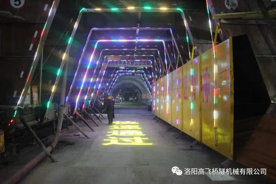 白姐全年正版王中王