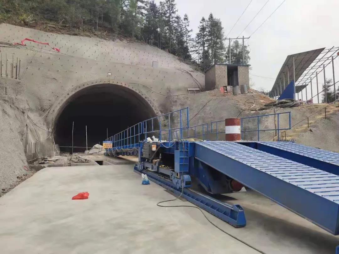 白姐全年正版王中王