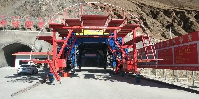 白姐全年正版王中王