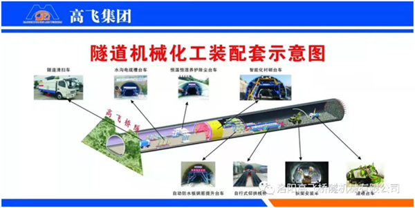 白姐全年正版王中王
