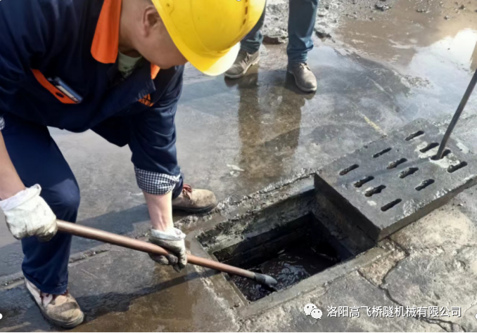 白姐全年正版王中王