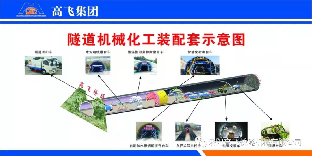 白姐全年正版王中王