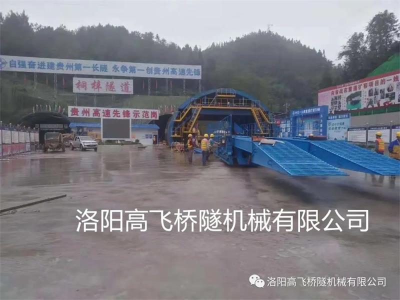 白姐全年正版王中王