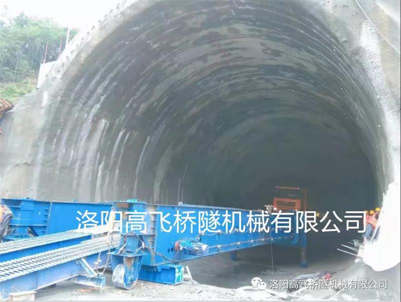 白姐全年正版王中王