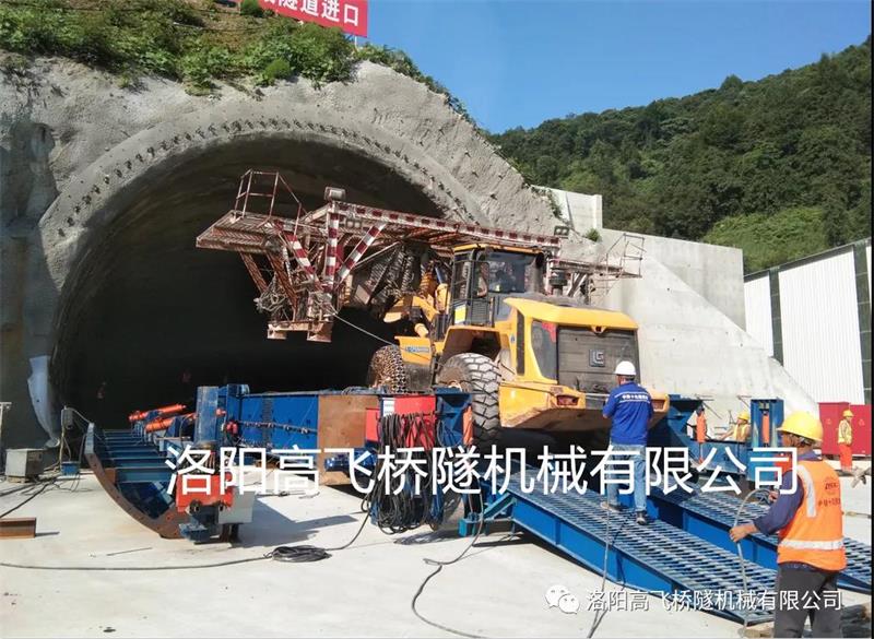 白姐全年正版王中王