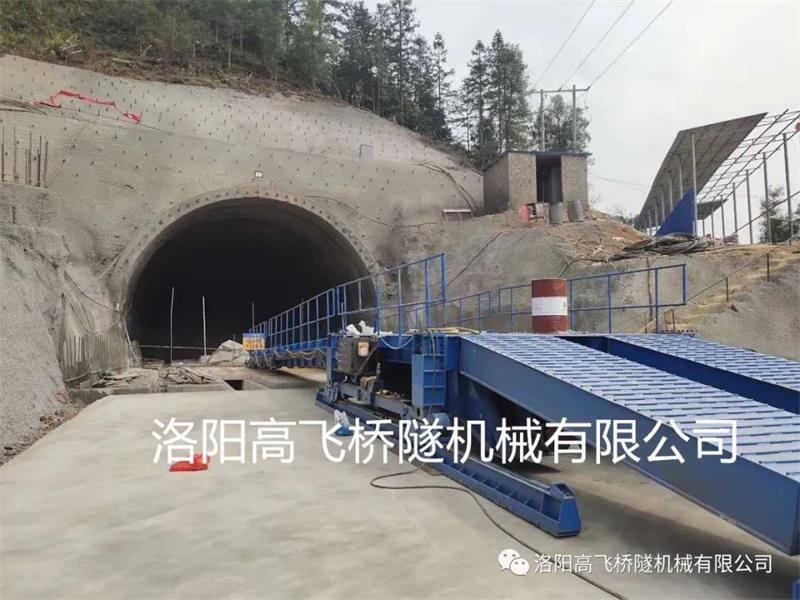 白姐全年正版王中王