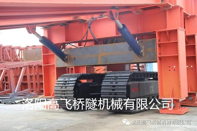 白姐全年正版王中王