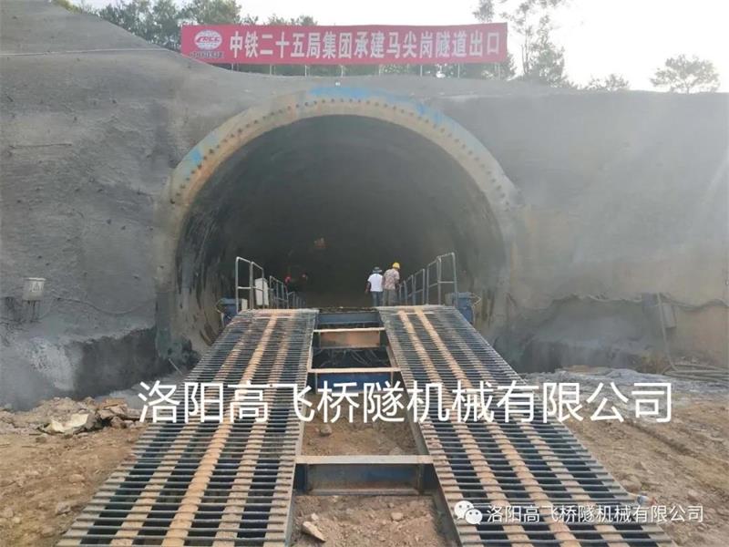 白姐全年正版王中王