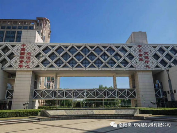 白姐全年正版王中王