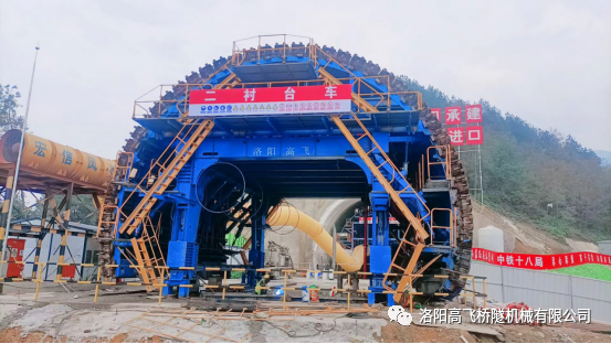 白姐全年正版王中王