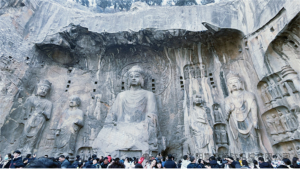 白姐全年正版王中王