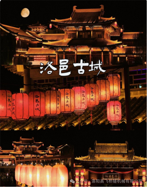 白姐全年正版王中王