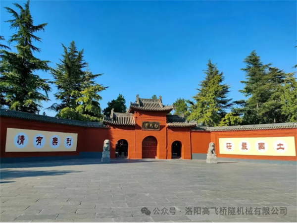 白姐全年正版王中王