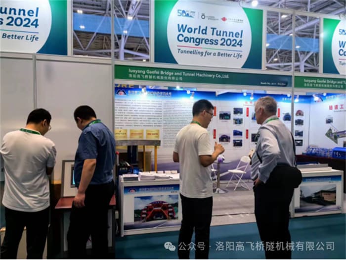 白姐全年正版王中王